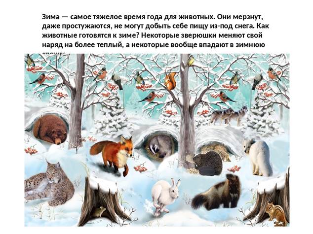Беседа «Как животные подготовились к зиме».